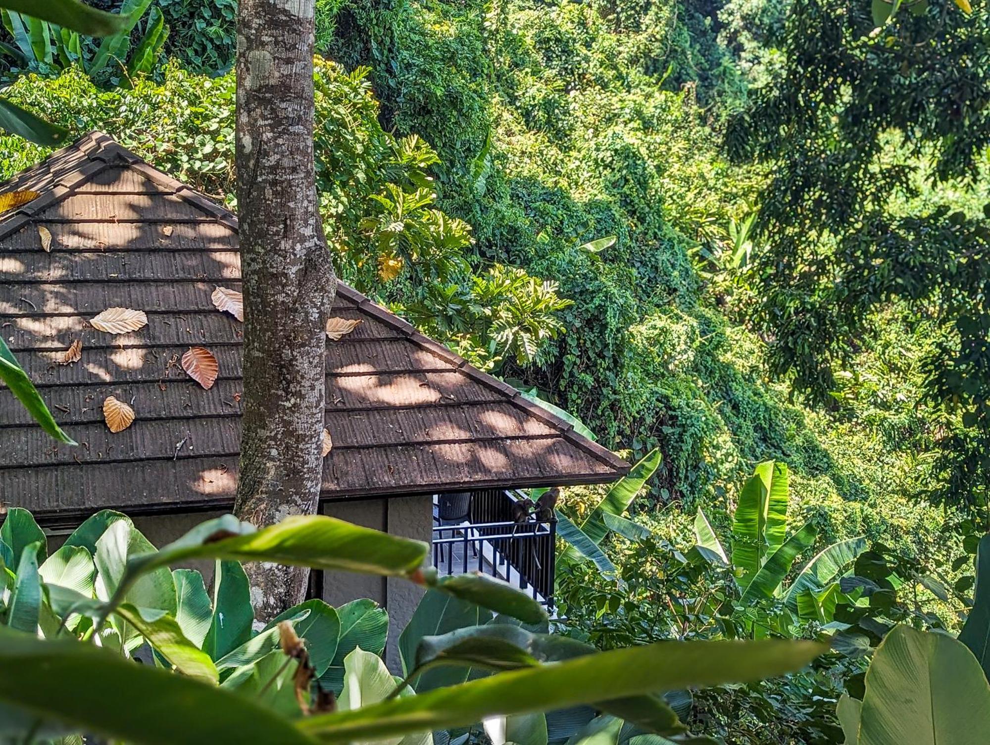Perch El Nido'S Seaview Villas Overlooking Marimegmeg ภายนอก รูปภาพ