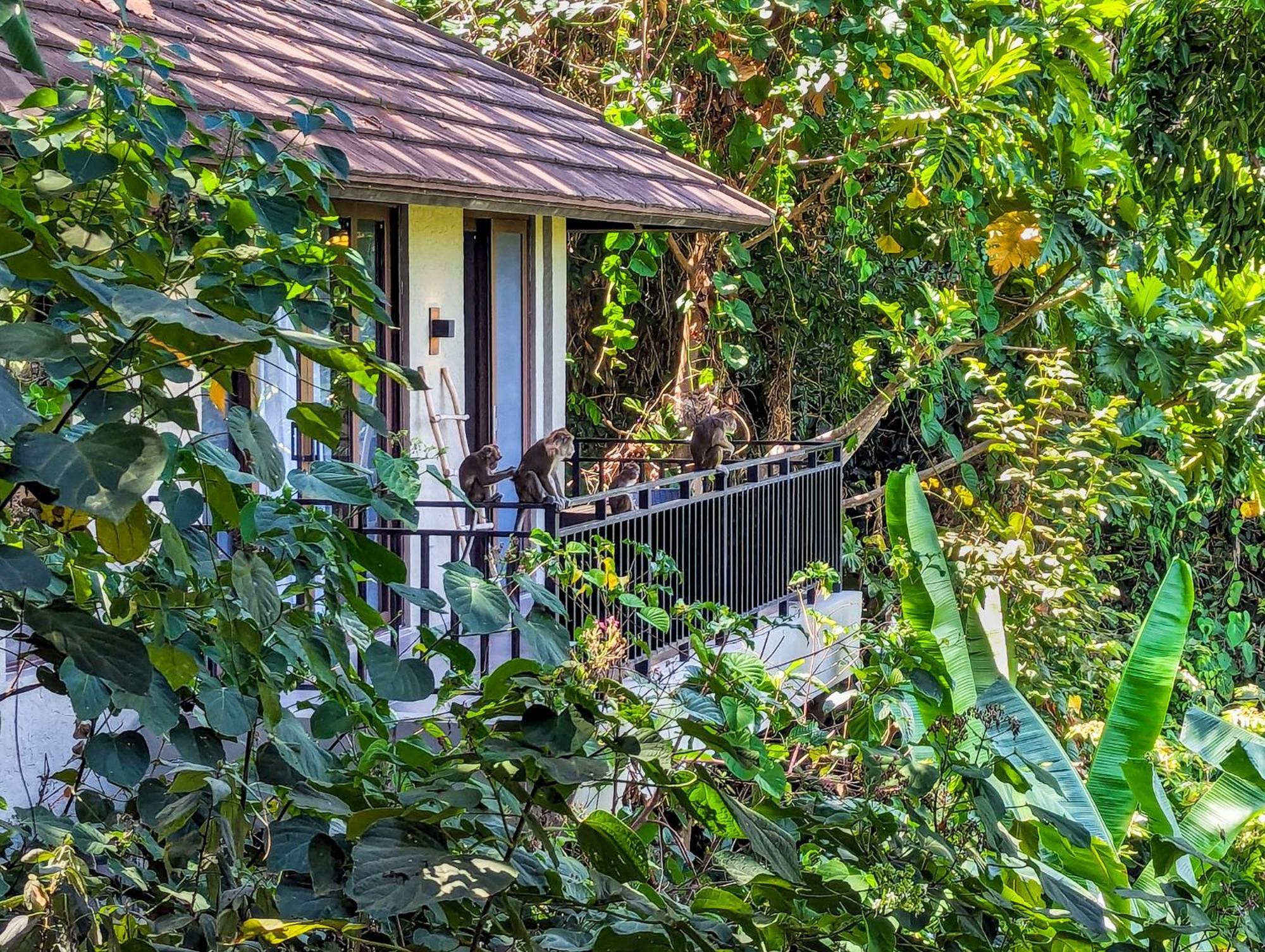 Perch El Nido'S Seaview Villas Overlooking Marimegmeg ภายนอก รูปภาพ